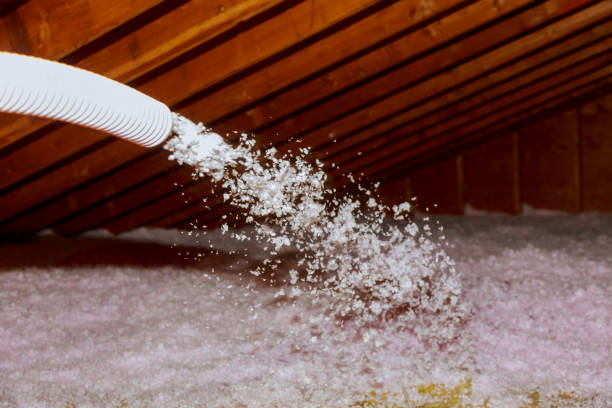 Best Insulation Maintenance and Repair in St Louis Park, MN