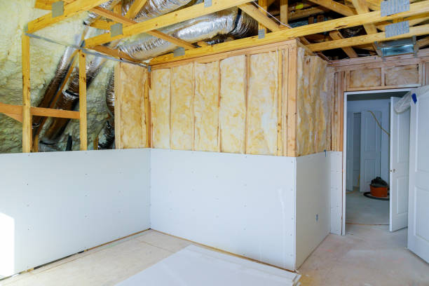 Best Types of Insulation in St Louis Park, MN