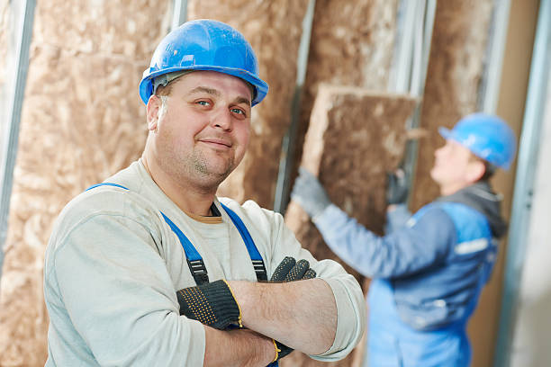 Best Insulation for Specific Applications in St Louis Park, MN