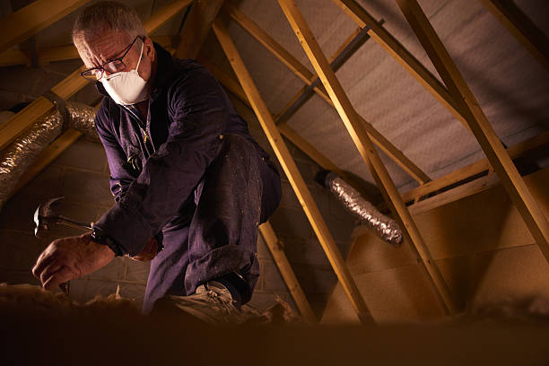  St Louis Park, MN Insulation Contractor Pros